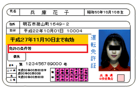 driver-license -mihon４