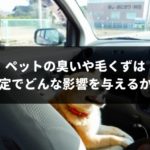 ペットは車査定に悪影響になる！1円も減額されないための裏技を専門家がこっそり伝授