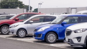 中古車なら選択肢が広がる