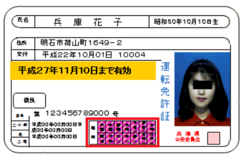 driver-license -mihon7