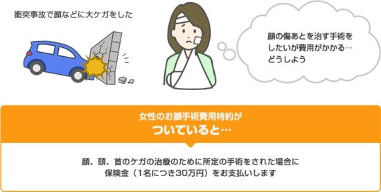 イーデザイン損保の女性のお顔手術費用特約