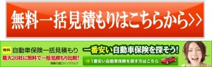 自動車保険の一括見積もり