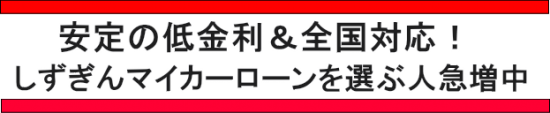 しずぎんマイカーローンの区切り(PC)