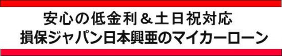 損保ジャパン日本興亜マイカーローンの区切り